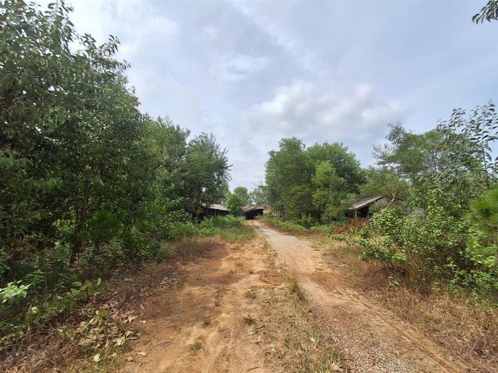 Chính chủ bán đất trang trại.....