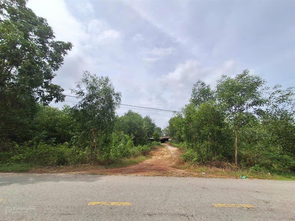 Chính chủ bán đất trang trại.....