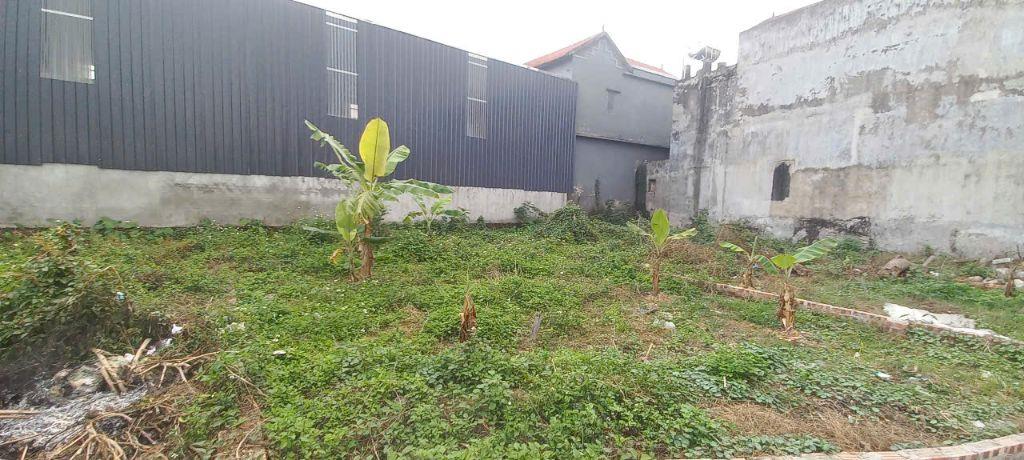 🔥 ĐƯỜNG THÔNG_Ô TÔ TRÁNH_VIEW BÌA LÀNG_50M RA TRỤC KINH DOANH_500M RA QL3_CHỈ HƠN 3,X TỶ 