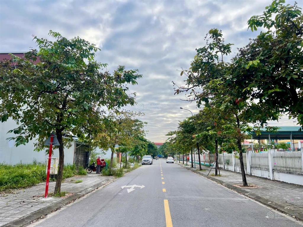 Kđt vườn sen đầu tư ngắn, thắng lợi nhanh