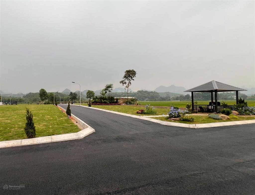 Chỉ hơn 300 triệu sở hữu ngay đất gần trung tâm kinh tế ba đồi, lạc thủy