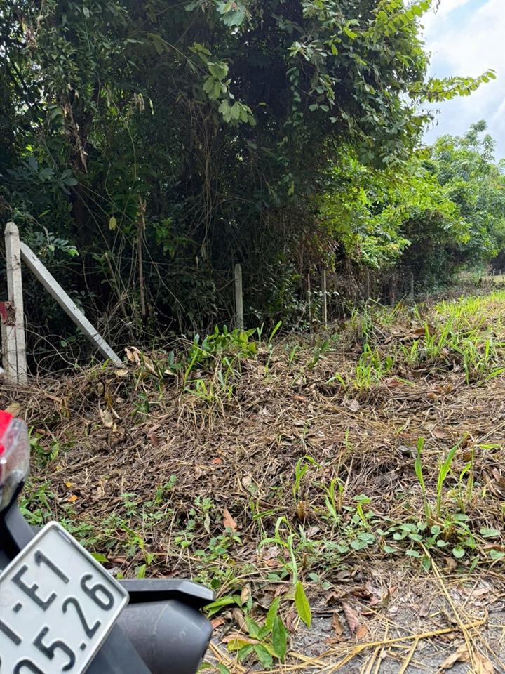 ĐẤT ĐẸP- GIÁ TỐT BÁN NHANH LÔ ĐẤT ĐẦU TƯ LÀ SINH LỜI TẠI Thành phố Bến Cát, Bình Dương