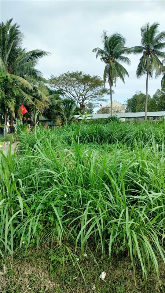 HOT HOT – CHÍNH CHỦ CẦN BÁN LÔ ĐẤT GÓC TẠI X. Hoài Sơn, TX. Hoài Nhơn, T. Bình Định