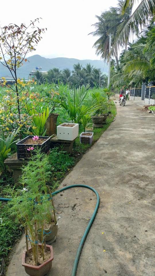 HOT HOT – CHÍNH CHỦ CẦN BÁN LÔ ĐẤT GÓC TẠI X. Hoài Sơn, TX. Hoài Nhơn, T. Bình Định