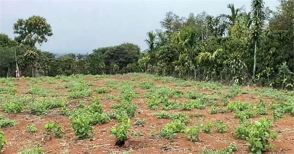 ĐẤT ĐẸP – CHÍNH CHỦ CẦN BÁN LÔ ĐẤT Mặt Tiền Đ. Trung Tâm Quảng Khê, H. Đắk Glong, T. Đắk