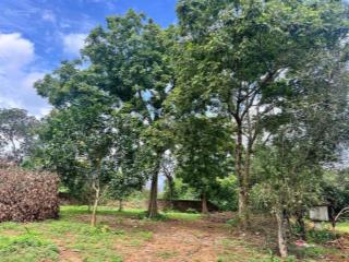 Sót đúng một lô rẻ nhất hoà lạc ạ