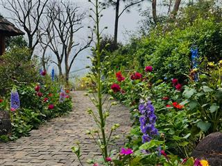 Duy nhất một căn villa ngay giữa xóm hà nội