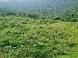 Diện tích lớn mặt đường nhựa tại hòa lạc