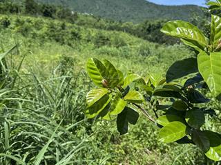 Đất nghỉ dưỡng trung tâm hoà lạc view đẳng cấp