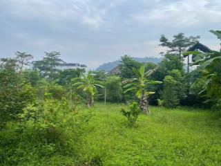 Đất f0 rẻ nhất hoà lạc chủ cần bán gấp