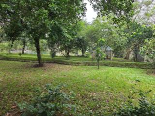 Full thổ cư vị trí đẹp gần đại học lớn trung tâm hoà lạc