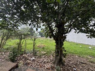 Xóm sinh thái xanh trung tâm hoà lạc giá f0