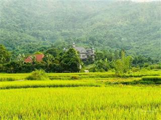 Cao như tam đảo view thủ đô hà nội đẹp nhất hoà lạc