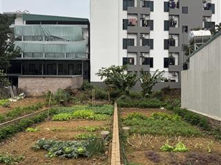 Chuyển nhượng chung cư mini đắc địa nhất hoà lạc