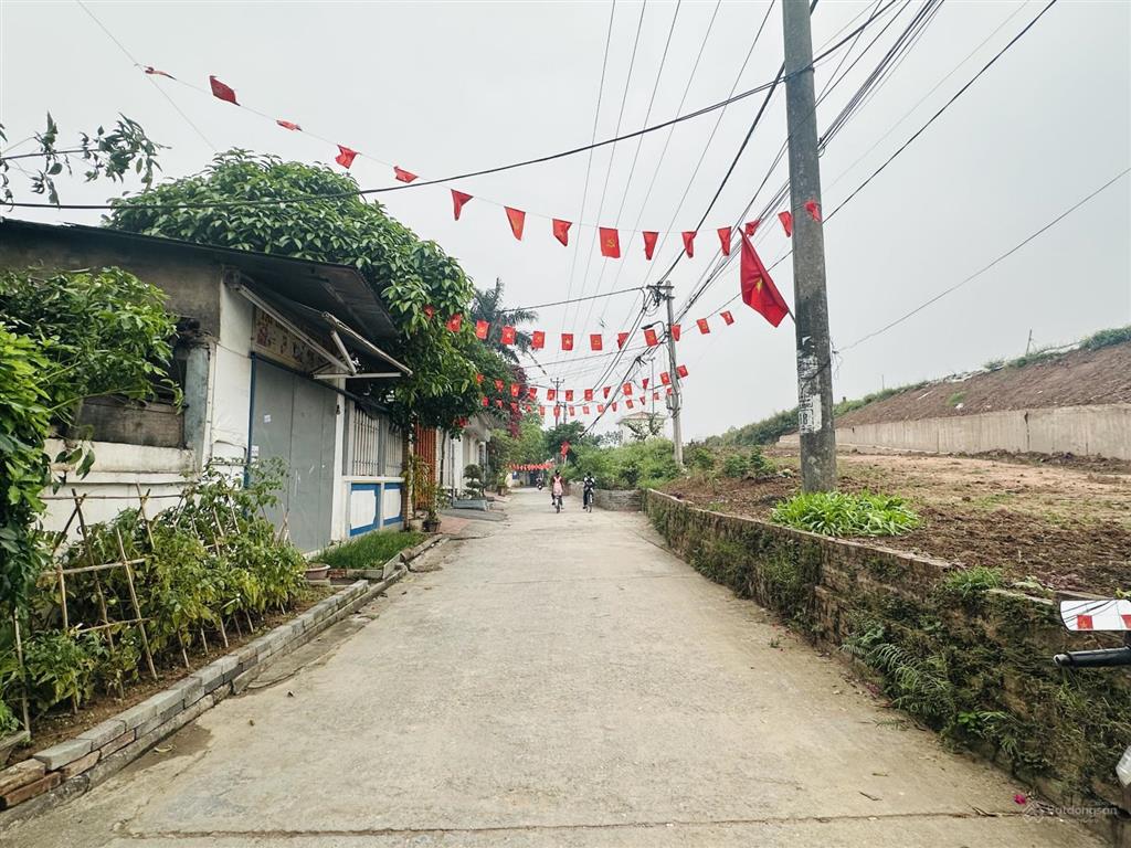 Chủ cần bán gấp lô đất 66m2 x mt 4m tại võng la  đông anh. đường thông  ô tô tránh  kinh doanh