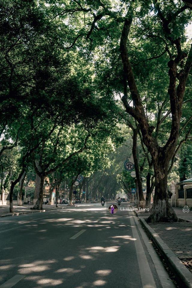 Phân lô lõi ba đình  tt hoàng hoa thám  80m2  vỉa hè ô tô tránh  chủ giảm 6,4 tỷ còn 28,6 tỷ