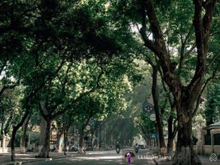 Phân lô lõi ba đình  tt hoàng hoa thám  80m2  vỉa hè ô tô tránh  chủ giảm 6,4 tỷ còn 28,6 tỷ