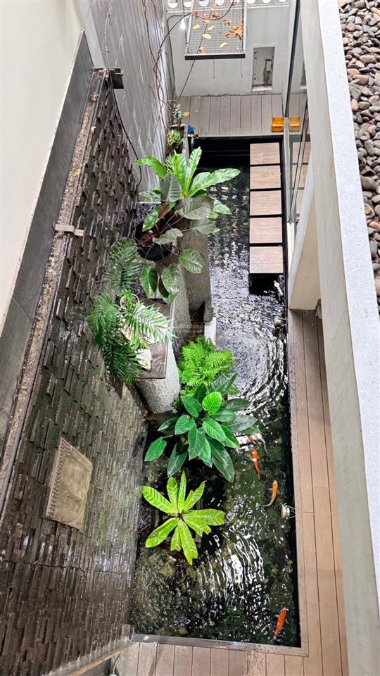 Biệt thự sân vườn đẹp 5tầng có thang máy hẻm ô tô ngày sân goil tân sơn p. an hội tây gò vấp 23tỷtl