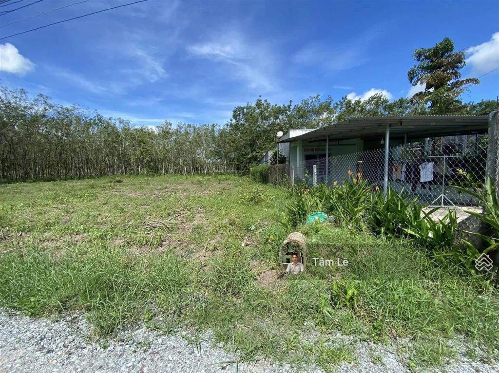 Chính chủ gửi bán 196,6m2 đất có thổ ngay kp suối sâu, an tịnh, trảng bàng. shr, giá chỉ 550tr