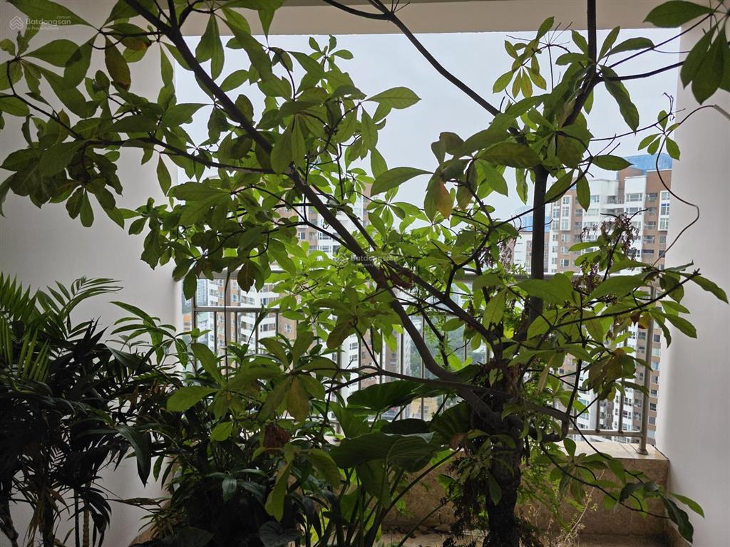 Chính chủ cần bán căn hộ 146 m² 3 phòng ngủ tòa 34t, kđt trung hòa nhân chính