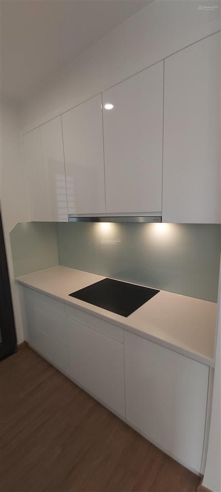 Chính chủ bán căn hộ 1 ngủ 1 khách cao cấp tại chung cư vinhomes skylake phạm hùng