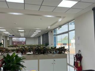 XT463 Cho Thuê Kho Ngoại Quan, Xưởng sản xuất công nghệ cao, trống xưởng giao liền