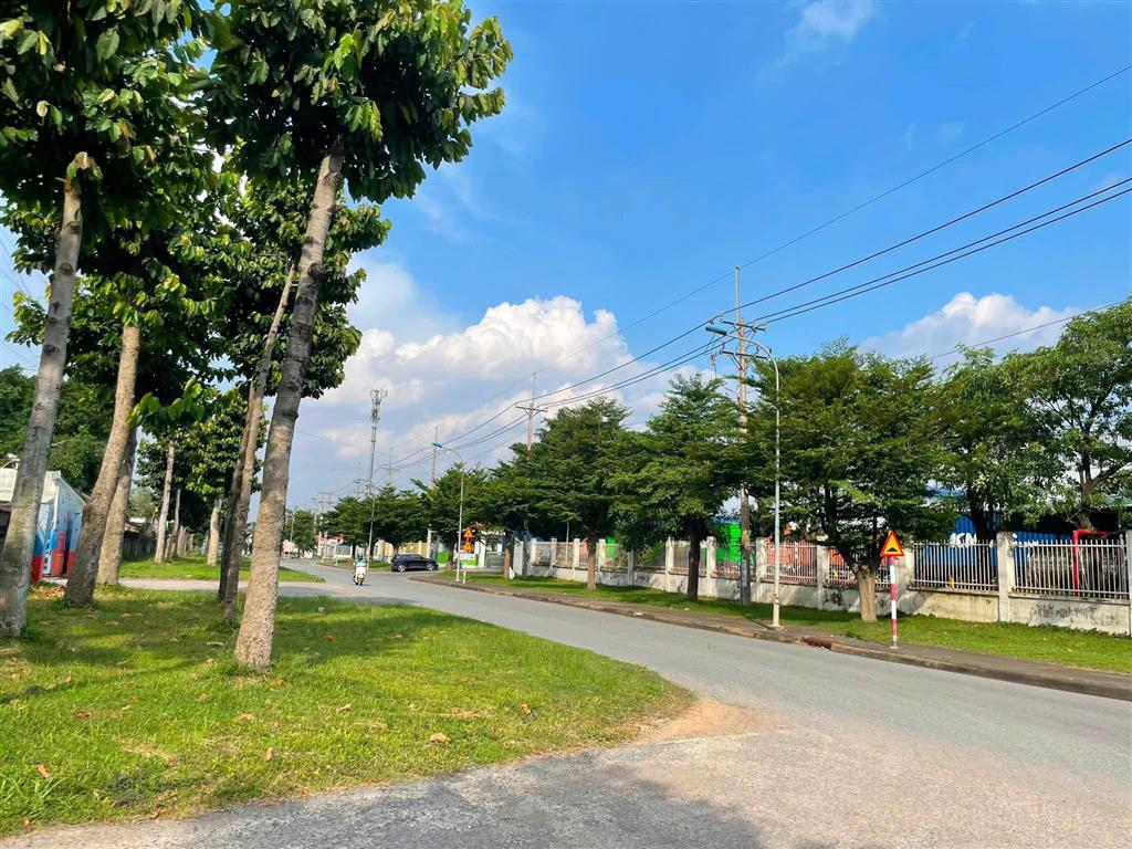 XT201 cho thuê nhà xưởng sản xuất, tại KCN Nhơn Trạch, thu hút linh hoạt ngành nghề