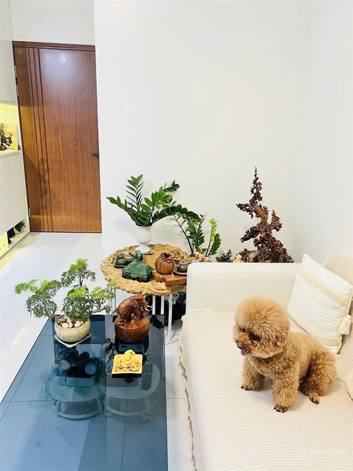 Bán chcc tầng 21 dự án ecohome 3  tân xuân  60m2  2 ngủ  2 wc  sổ đỏ  full đồ  4.6 tỷ