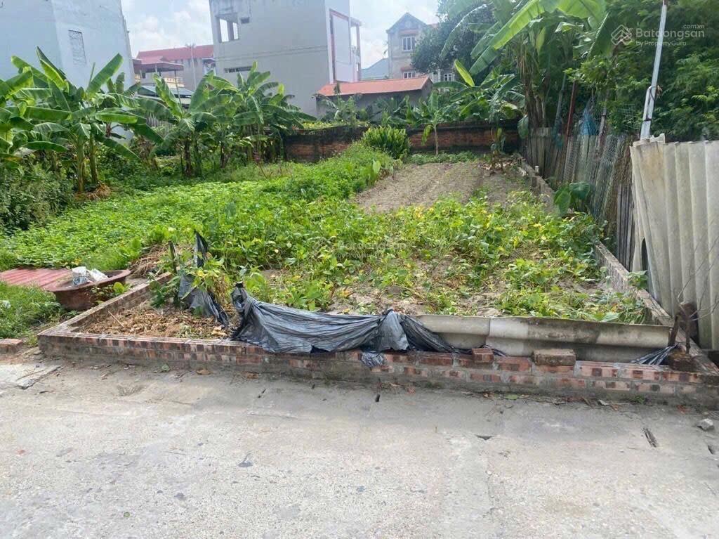 Hiếm! thôn đường nhạn, xã thư lâm  đông anh  vị trí ô tô 7 chỗ đỗ cửa  gần hồ  dt 96m2 6.15 tỷ