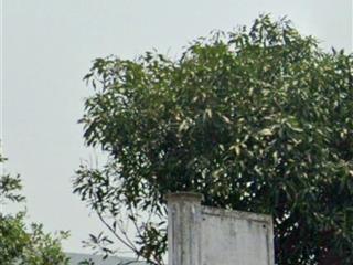 Bán lô cặp đường bát nàn công chúa  gần tòa căn hộ new town  khu bãi tắm tân trà  ngũ hành sơn