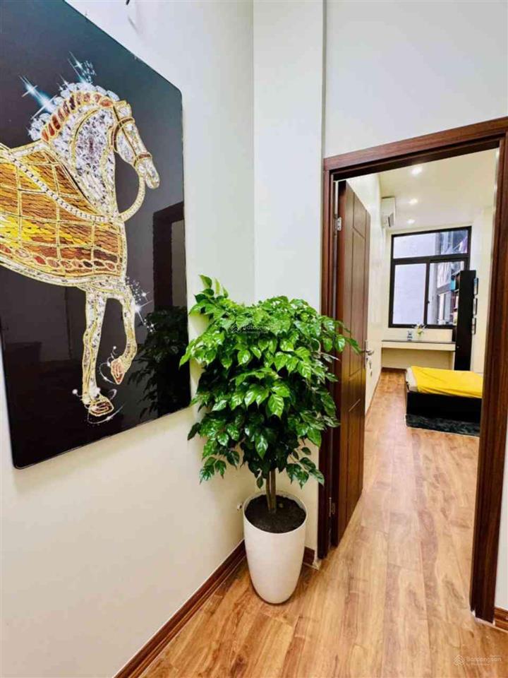 7,9 tỷ  trần khát chân  30m2 x 5 tầng, 3 ngủ  giữa lõi hai bà trưng cơ hội hiếm khó tìm!