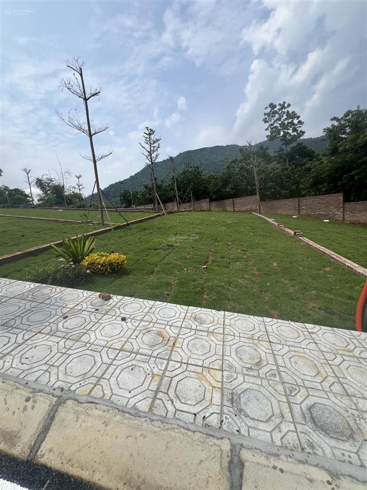 Bán gấp 150m phú mãn  sa pa thu nhỏ của hòa lạc chỉ 3,3 tỷ
