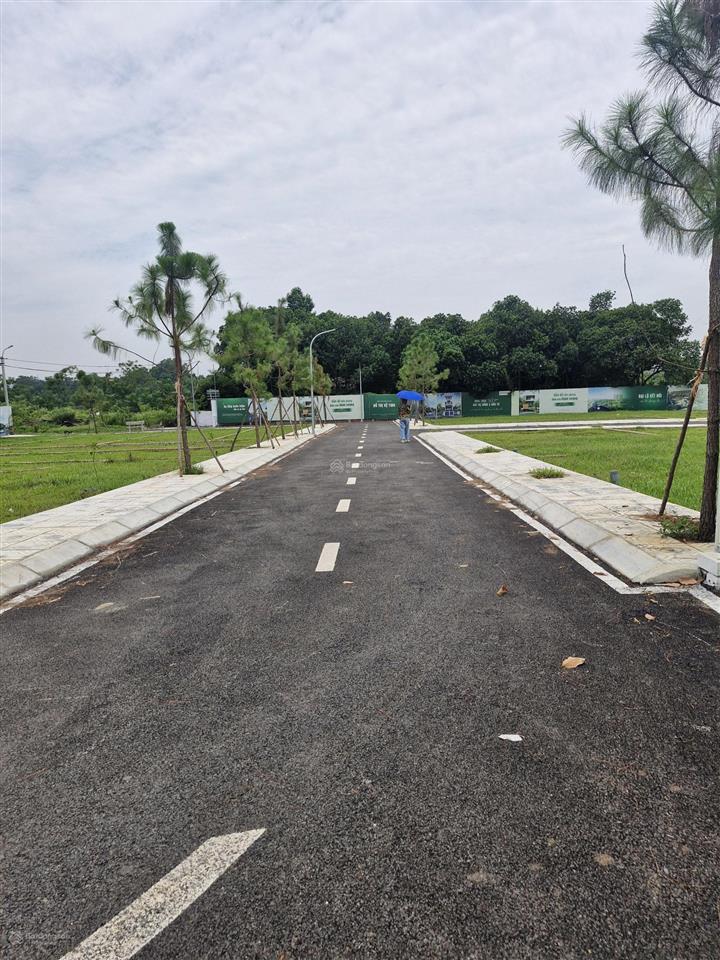 Cần sang gấp lô đất 100m2 full thổ cư, phú cát, hòa lạc, tăng giá mạnh, cho thuê tốt.