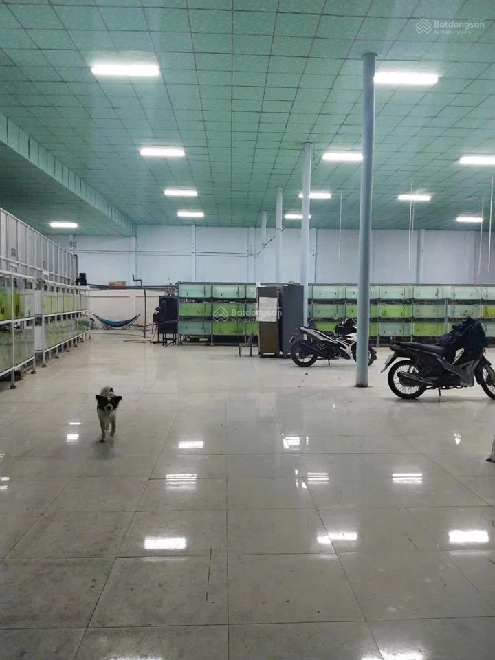 Cho thuê nhà xưởng (củ chi  hcm) 2000 m2 45 triệu / tháng