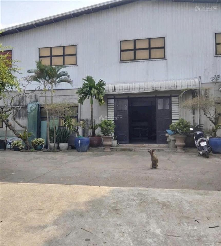Cho thuê xưởng 2500m2 (100 tr / tháng) xuân thới sơn  (hóc môn  hcm)