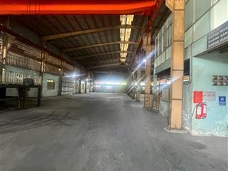 Xưởng 8000 m2 (75 triệu) làm cơ khí đức hòa đông  long an.