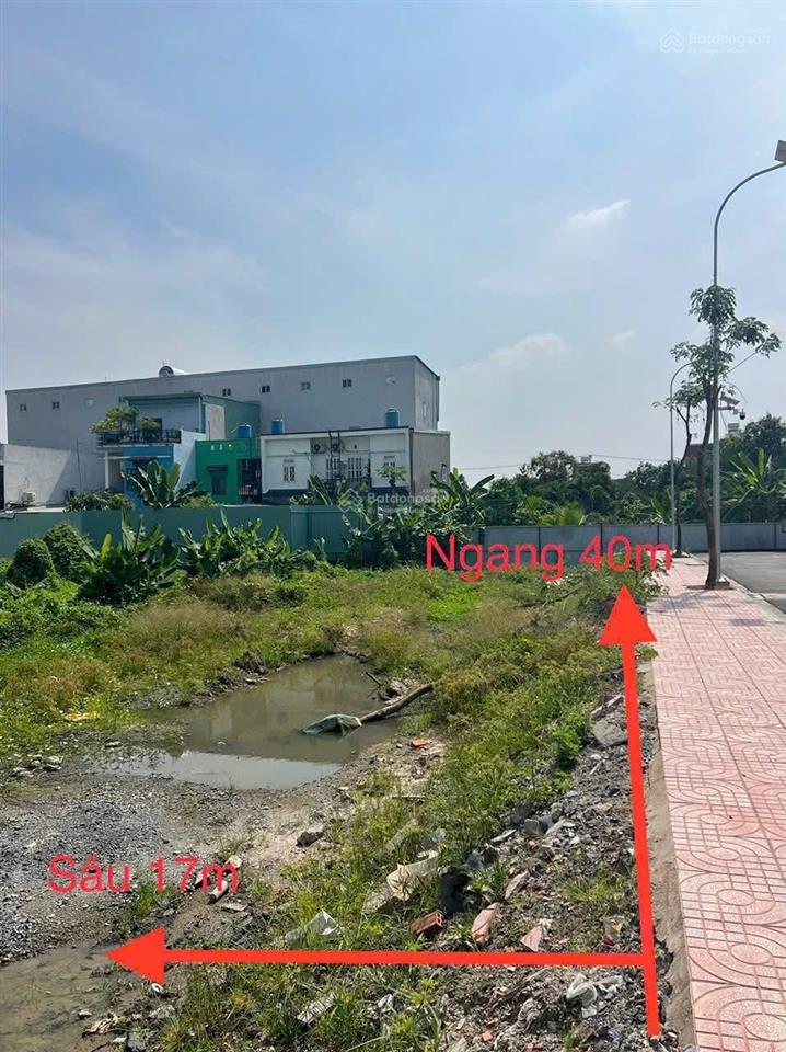 Bán đất 5.490 tỷ vườn lài, an phú đông, gần sông vàm thuật, đường ô tô thông