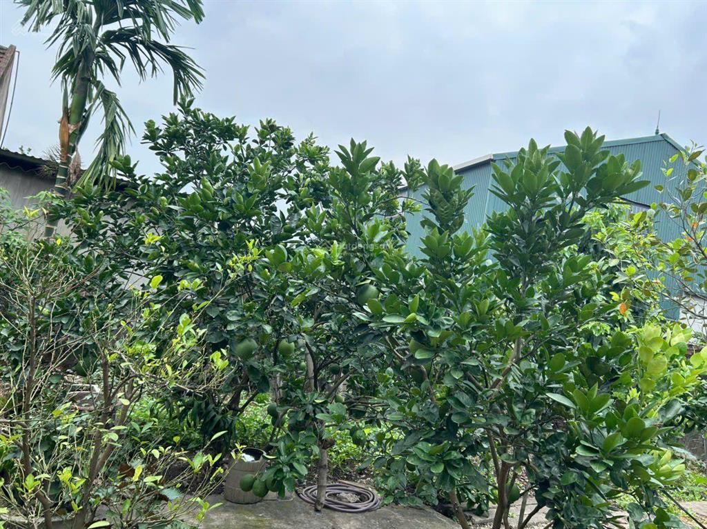 Bán gấp đất đa ngưu văn giang, ô tô vào, gần phố, 42m