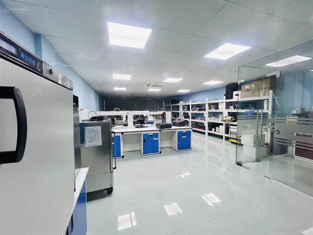 Cho thuê tòa nhà đường cộng hòa, 8x25m, 1 hầm, 4 tầng