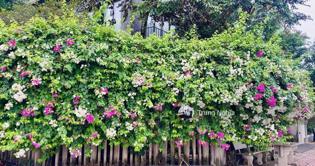 Căn biệt thự góc 2 mặt tiền được xây để ở, nay mới quyết định bán cách sân bay qt long thành 7km