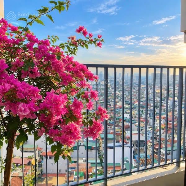 Chung cư cti  vĩnh hoàng, hoàng mai  65m2 thông thuỷ  3,5 tỷ  thương lượng