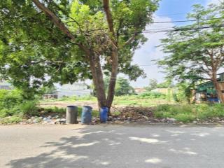 266  bán đất mặt tiền đường thống nhất p. bình thắng, dĩ an, dt 114m2, đường 10m  giá 4,55 tỷ