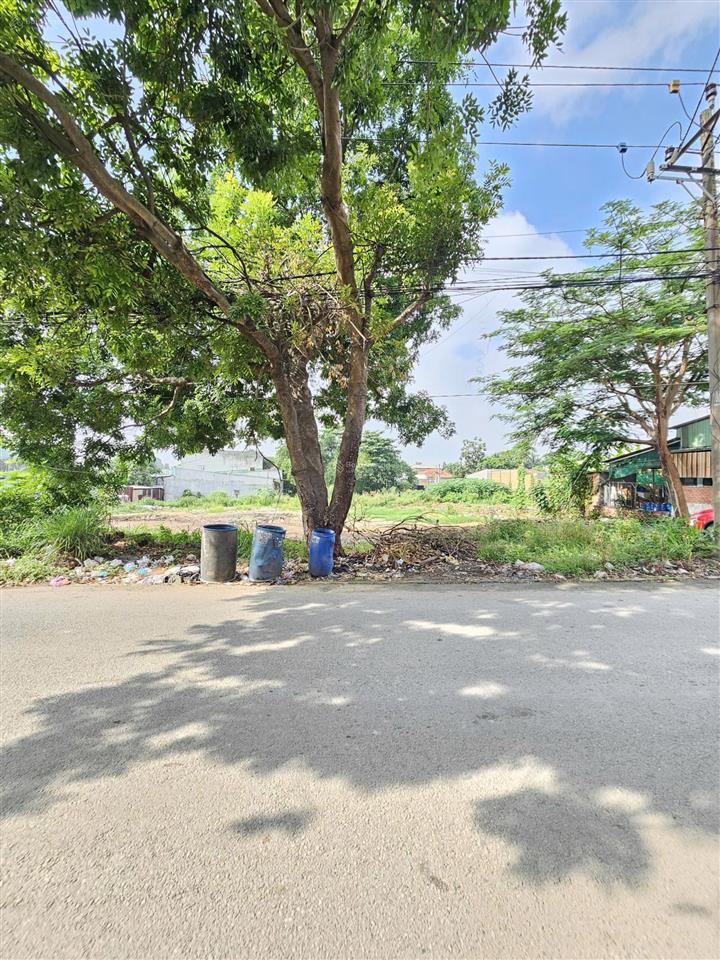 266  bán đất mặt tiền đường thống nhất p. bình thắng, dĩ an, dt 114m2, đường 10m  giá 4,55 tỷ