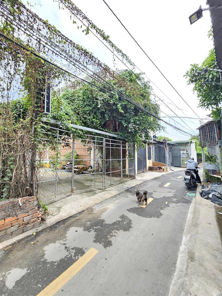 9009  bán đất 100m2 ngang 5,9m p. đông hòa, dĩ an, gần go dĩ an, đường 5,5m  giá chỉ 4,5 tỷ