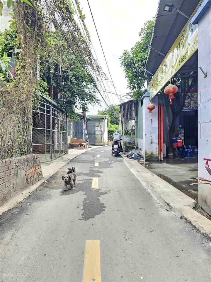 9009  bán đất 100m2 ngang 5,9m p. đông hòa, dĩ an, gần go dĩ an, đường 5,5m  giá chỉ 4,5 tỷ