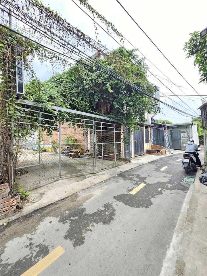 9009  bán đất 100m2 ngang 5,9m p. đông hòa, dĩ an, gần go dĩ an, đường 5,5m  giá chỉ 4,5 tỷ