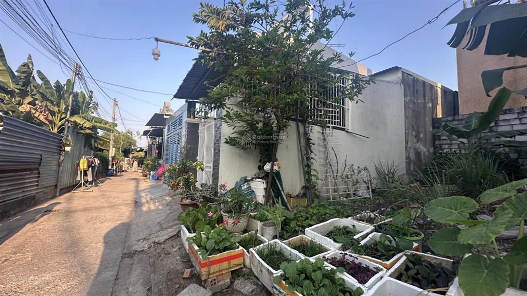 8189  bán đất gần kdc biconsi  p. tân đông hiệp, tp. dĩ an  68m2  ngang 6m  giá chỉ 2,59 tỷ