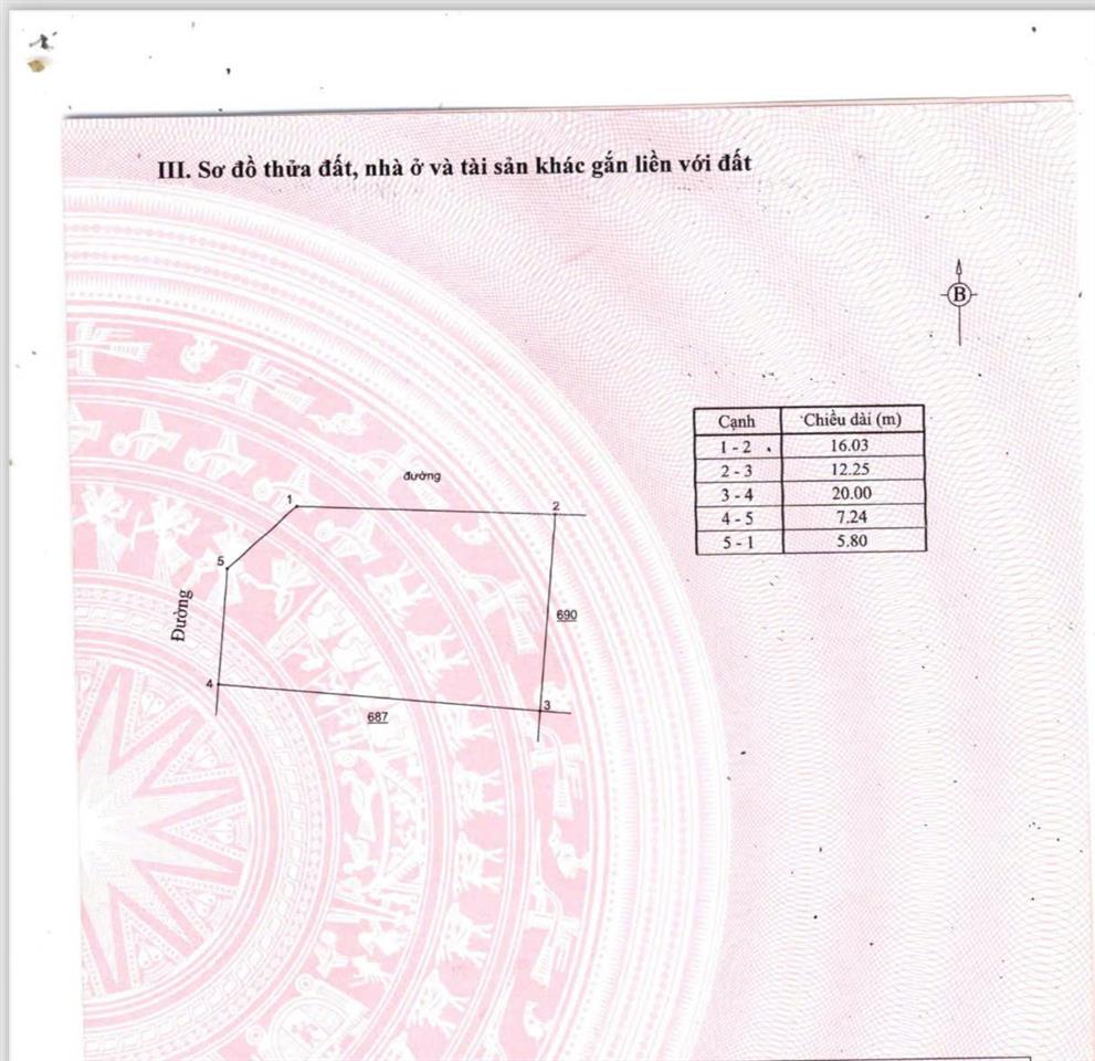 Lô góc 2 mặt tiền chính chủ tại bắc đầm vạc  vĩnh phúc