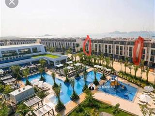 Căn villa lotus mặt bể bơi cách biển 150m