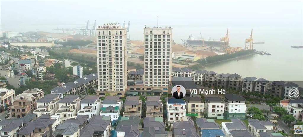 Biệt thự đức dương beverly hills bàn giao thô vị trí đẹp cư dân tinh hoa